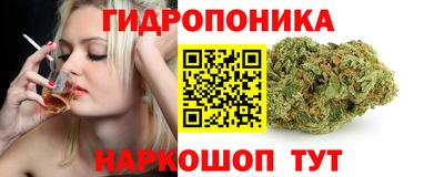 эйфоретик Малгобек